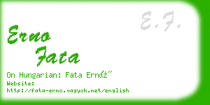 erno fata business card